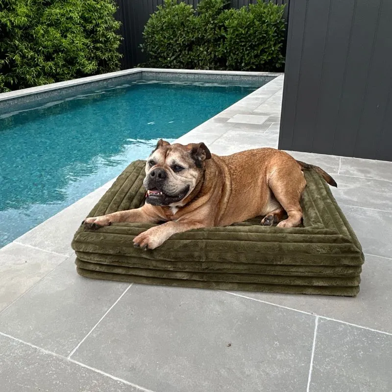 Memory Foam Dog Bed - Puffer Fern