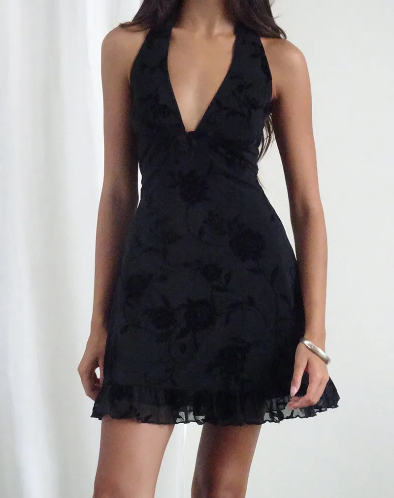 Motya Halterneck Mini Dress in Floral Rose Flocked Black